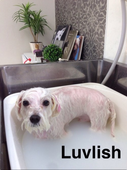 入浴中のノノくん(^^)！