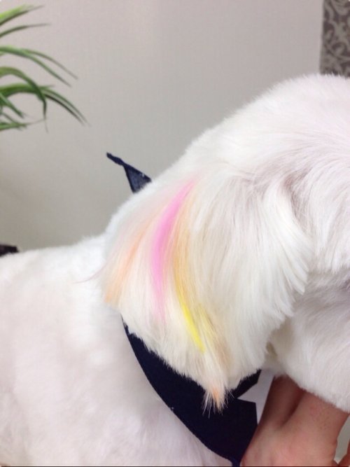 ノノくんカラーリング(*^^*)