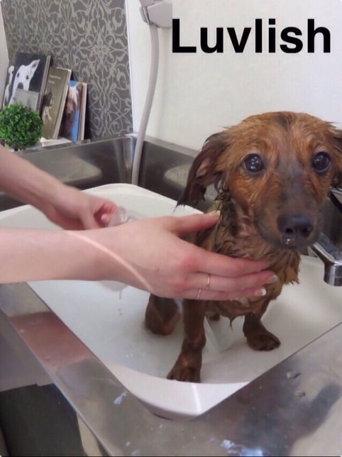 ポンくん入浴中～(^ ^)