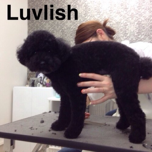 おやすみなさい(^^)…の前に