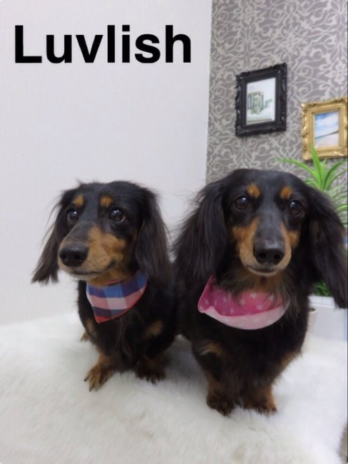 家族でご来店～(*^^*)