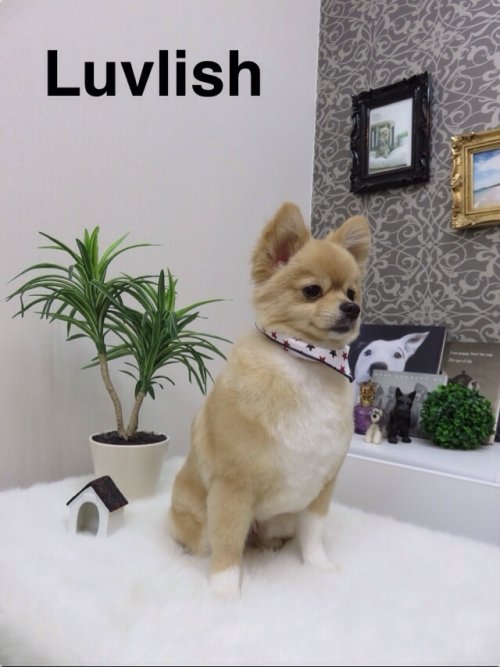 ポニョちゃん(^^)