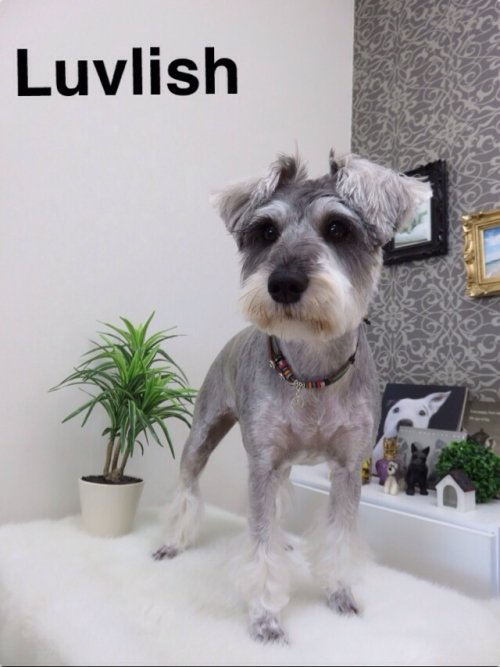 ムックちゃん(^^)