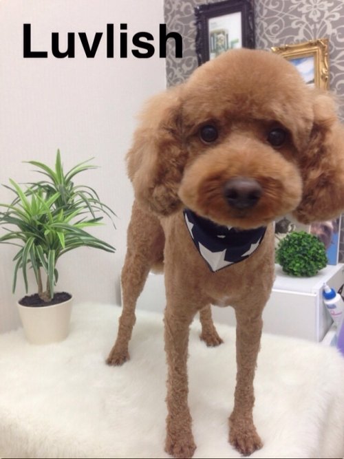 ラックくんもお友達～(^ ^)