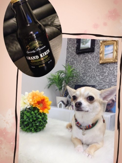 そろそろ慣れてきた(^^)？？？