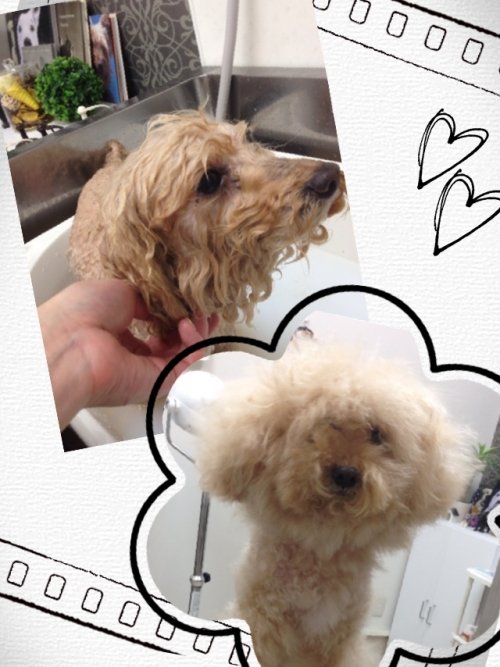 チョビタくん入浴ちゅ～(^_^)