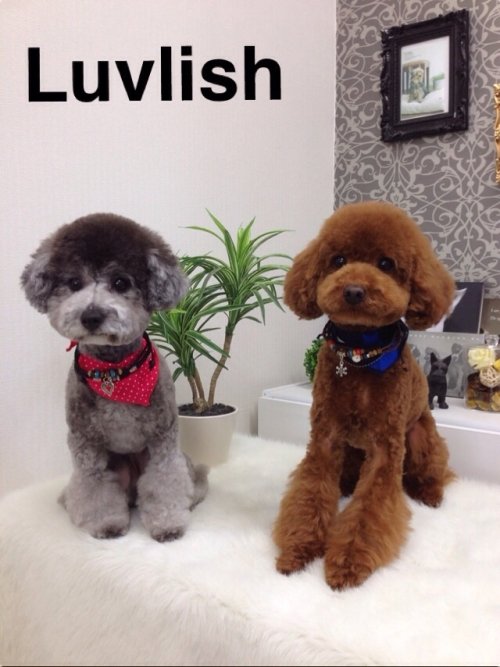 お友達と来たよ(^^)