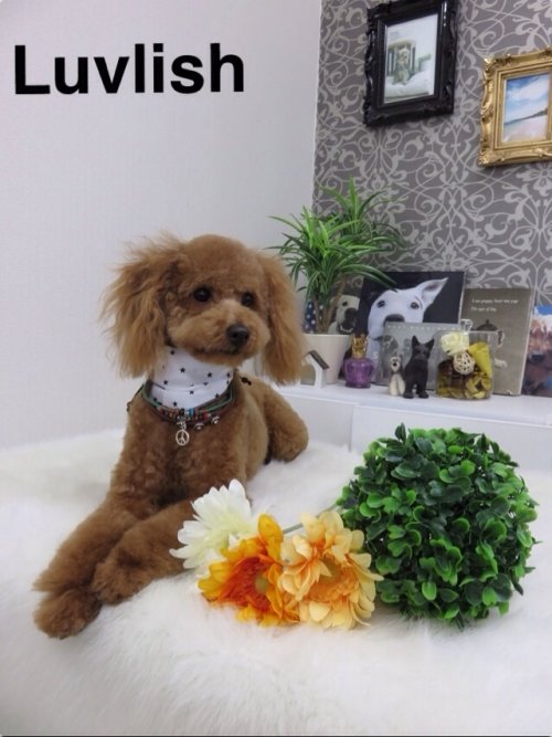 はじめまして~(^^)