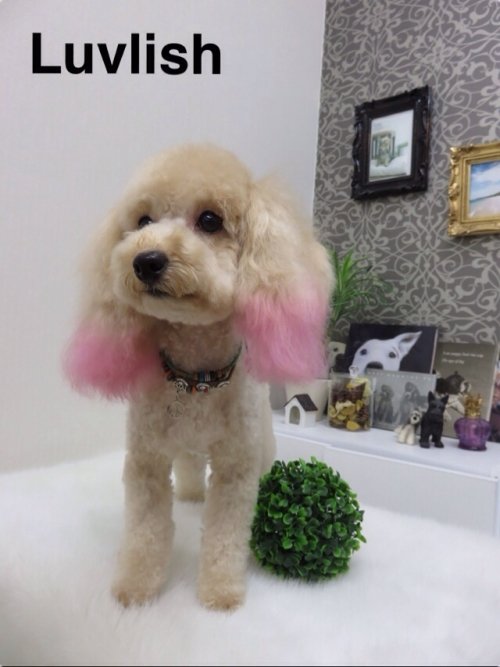 ゴールデンウィ～ク(^^)！！