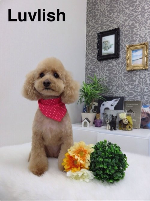 モコちゃーん^_^