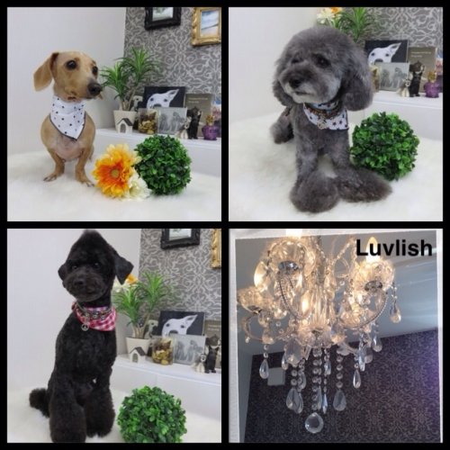 みんないらっしゃーい(^ ^)