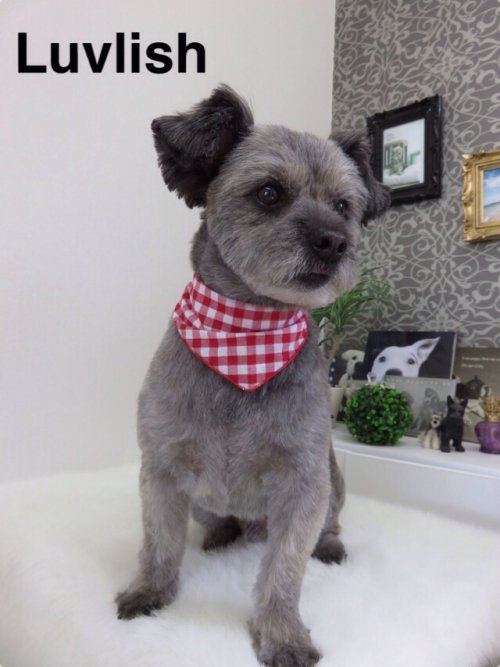 ハッピーくん(^^)