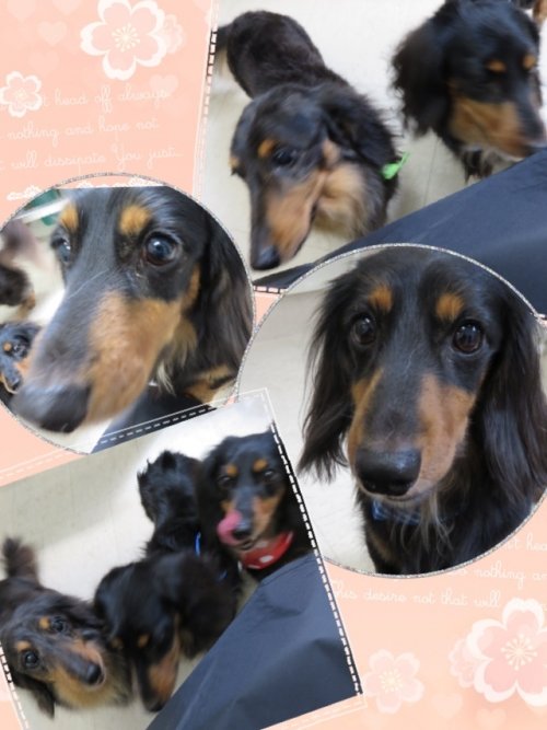 みんな一緒に(^ ^)！