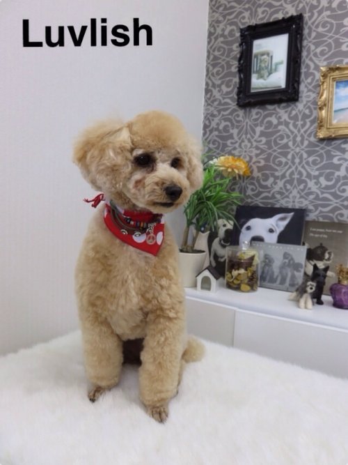 ナッツちゃん(^ ^)