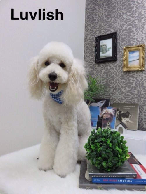 ニコちゃん(^ ^)