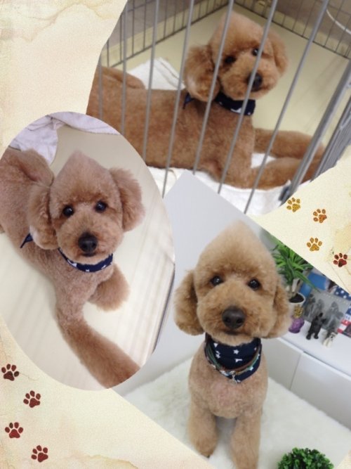 はじめまして(^_^)