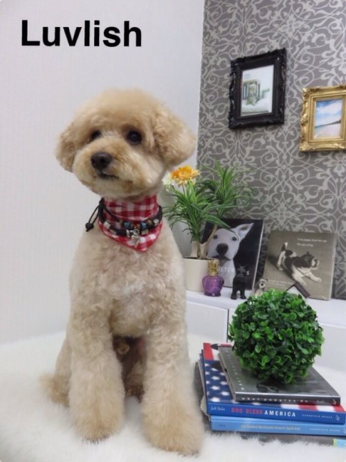 チョビタくん(^_^)