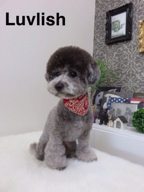 ララちゃんかわいすぎ!