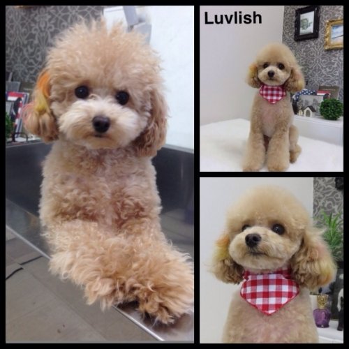 ラインくんは人気者(^^)