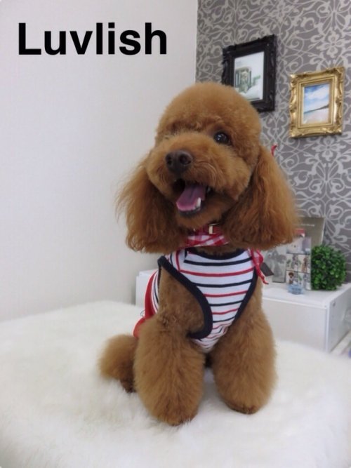 おはぎちゃん(^^)