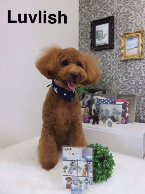 ソラくん初めまして～(^^)