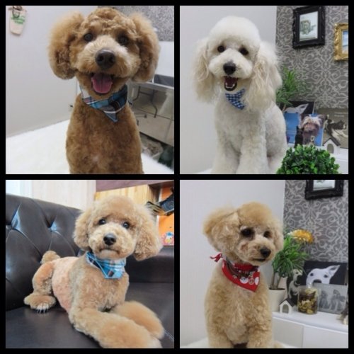 兄妹なんです(^^)