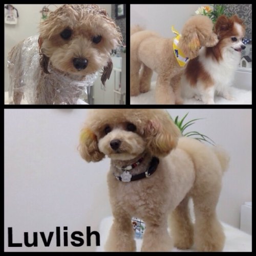 ラインくんNEWスタイル(^^)