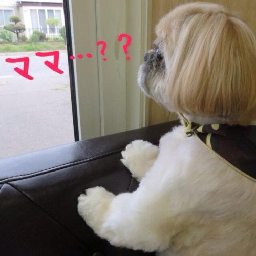 レオくん大好き(*^^*)！