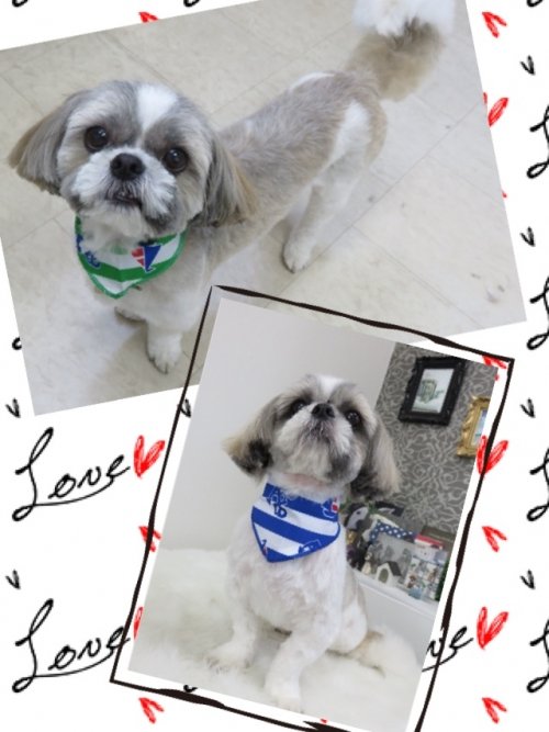 モッチ＆シュシュくん(^_^)