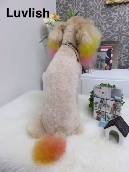 ミミコちゃんの…(^^)