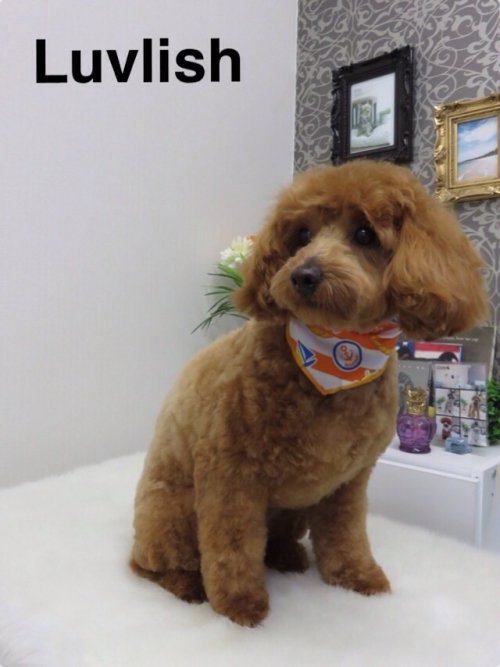 クーちゃん(*^^*)