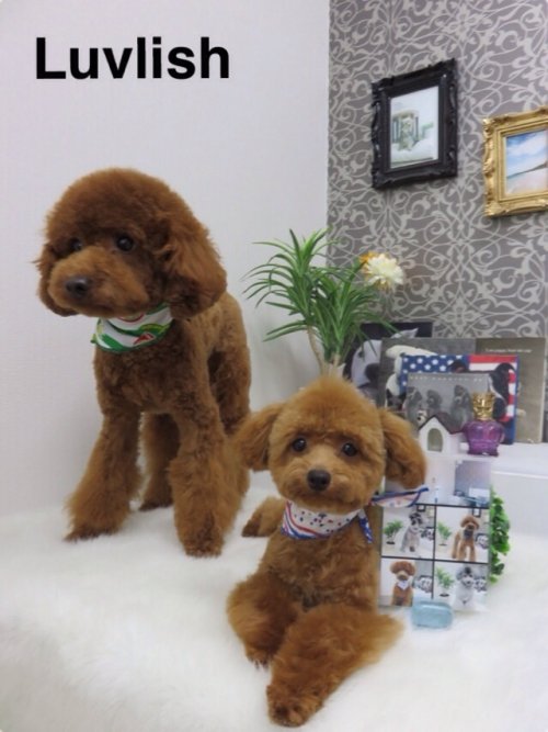 けんくん＆りんちゃん(^^)