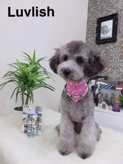 ぱるるちゃん(^^)はじめまして