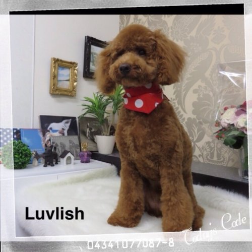 今日は定休日です(^^)