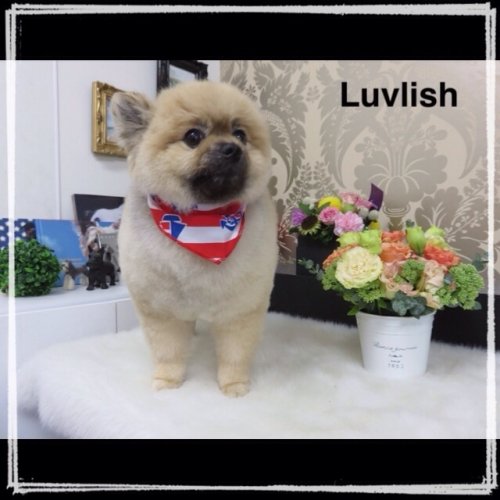 おはようございまーす(^^)