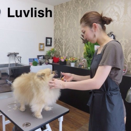 この日トリミングどぉですか？？