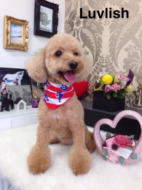 モコちゃーん(^^)