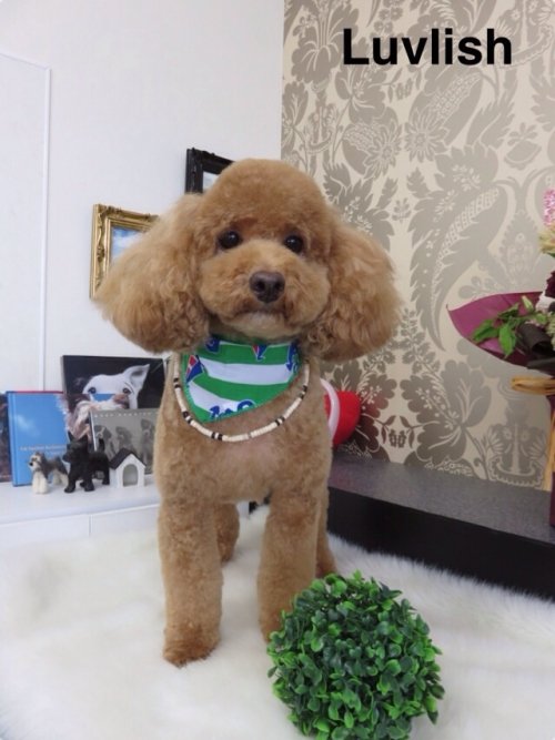 皆さん、場所わかりますかー？？