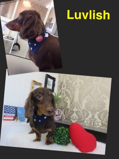 ご来店ありがとうございました(^^)