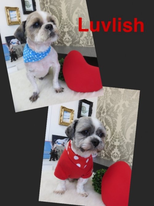 僕たち仲良し！！