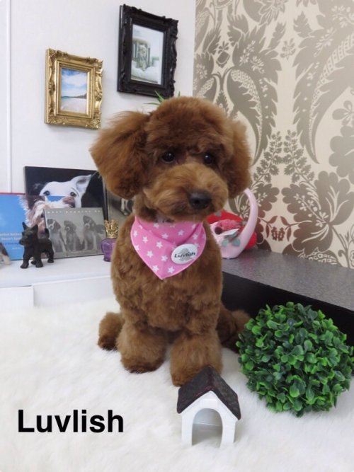 雨ですね～(´ー｀)