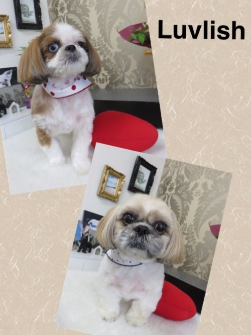 レオ＆モコちゃん(^ ^)