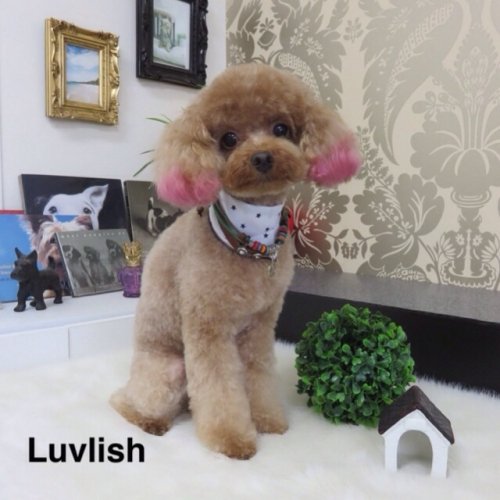 おはようございます(^^)！