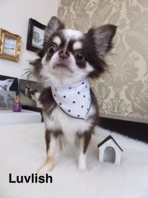 マコちゃんいらっしゃーい(^^)