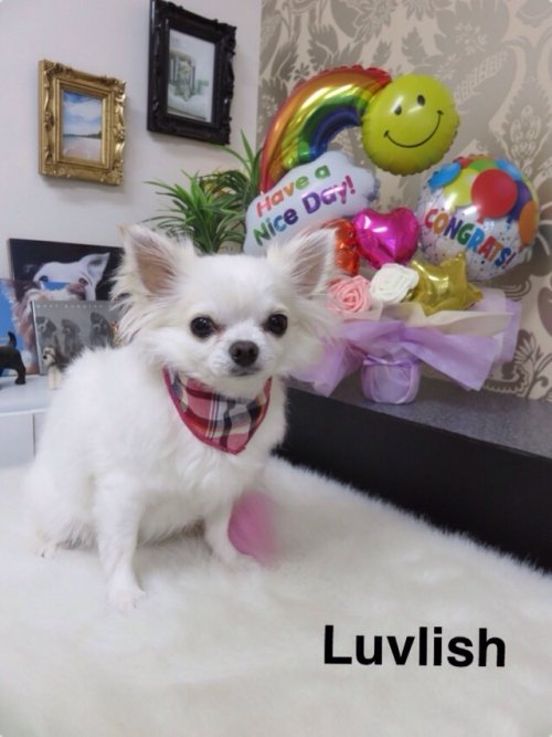 ハッピーバースディ(^^)！