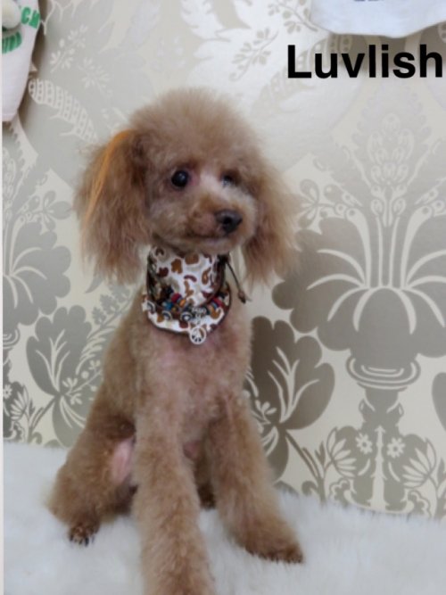 おつかれさま～(^ ^)