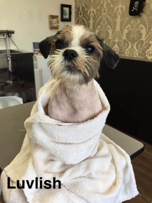 おはよぉございます(^ ^)