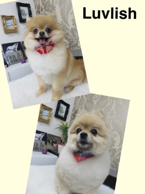 晴れてきた～(^ ^)