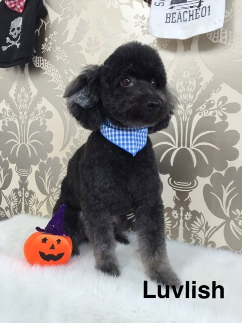 モコくん甘えん坊(^ ^)