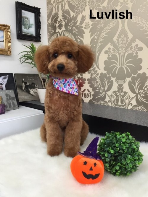 お疲れさまでーす(^ ^)